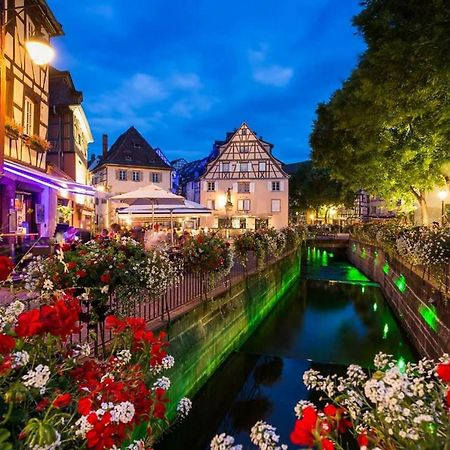 Au Petit Bonheur Charmant Gite Colmar Horbourg Exterior foto