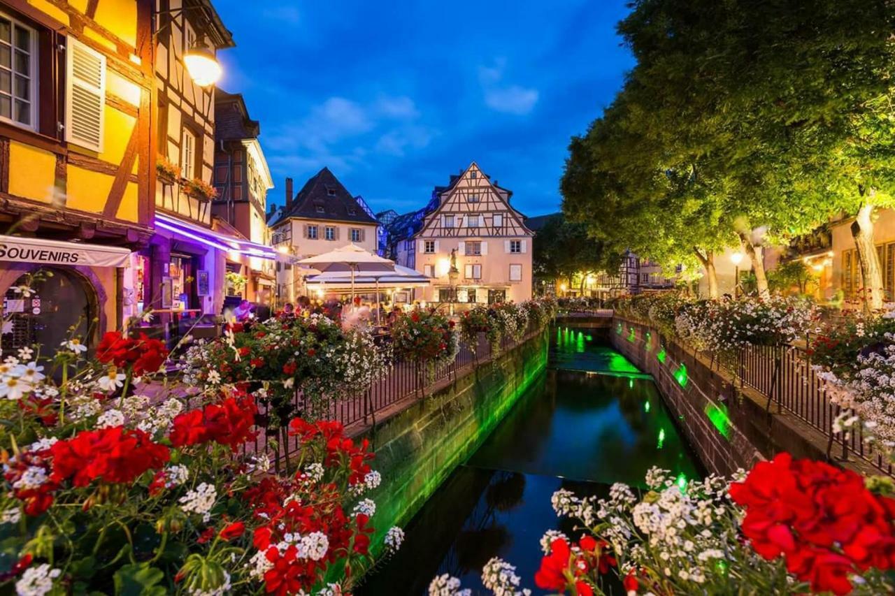 Au Petit Bonheur Charmant Gite Colmar Horbourg Exterior foto